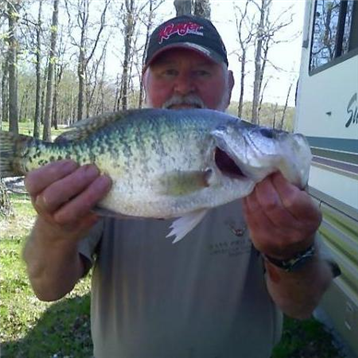 Missouri Crappie